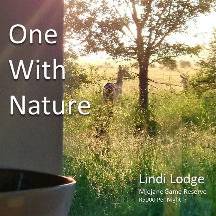 LindiLodge's tweet photo. Living as #OnewithNature @LindiLodge in #MjejaneGameReserve https://t.co/wvxKfGg49J