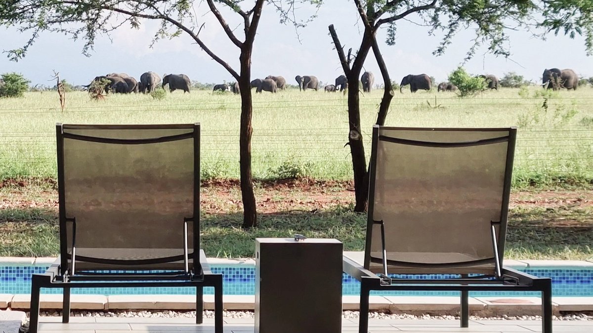 LindiLodge's tweet photo. Living as #OnewithNature @LindiLodge in #MjejaneGameReserve https://t.co/wvxKfGg49J