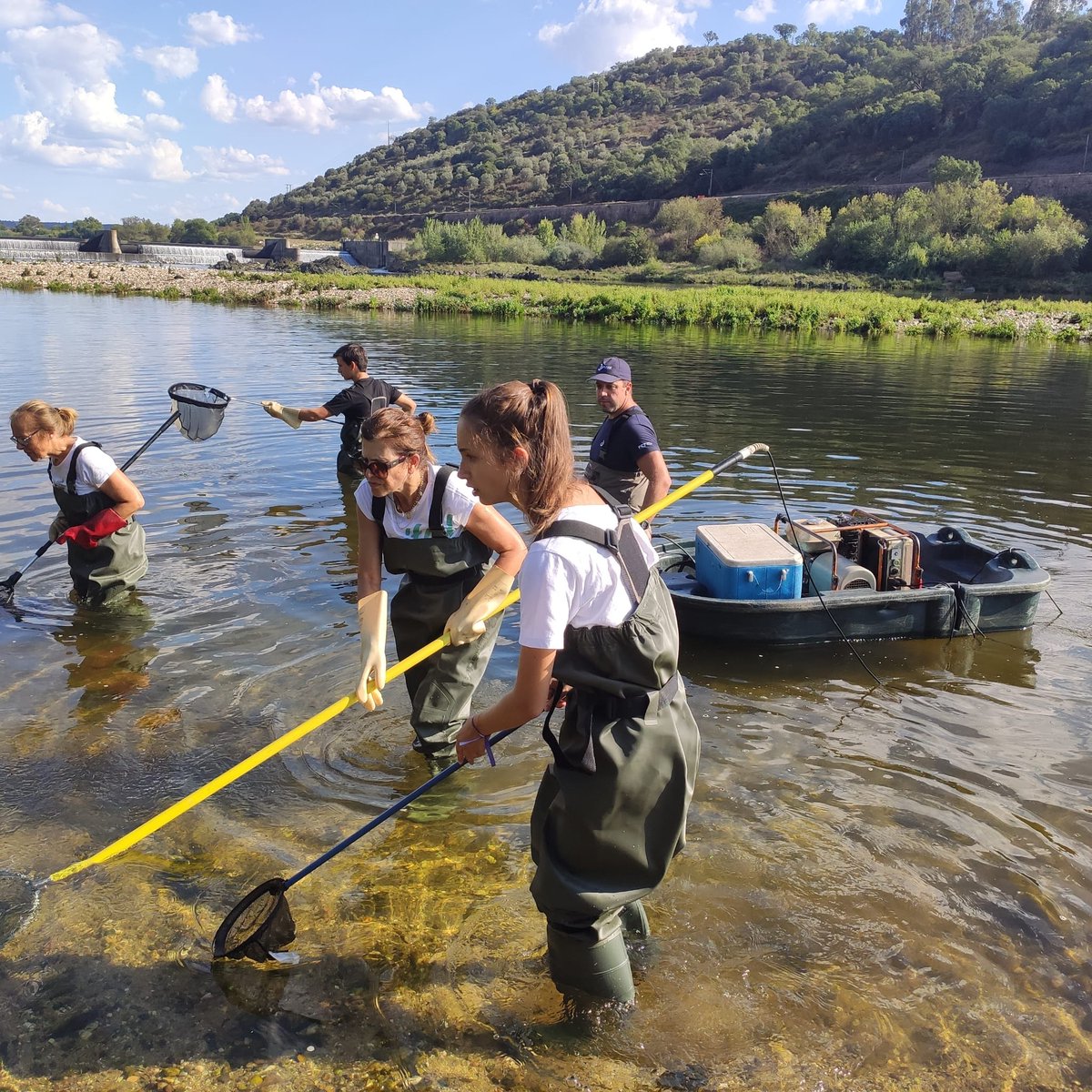 LifeAgueda's tweet photo. The Tagus was yesterday's office place. @LifeAgueda's experience was shared with middle- &amp; high-school teachers eager to learn more about freshwater fishes and river connectivity. What a great day this was! Thanks everyone!
#LIFEprogramme #damremoval #fishmigration #fishpass https://t.co/ppq97pzVrt