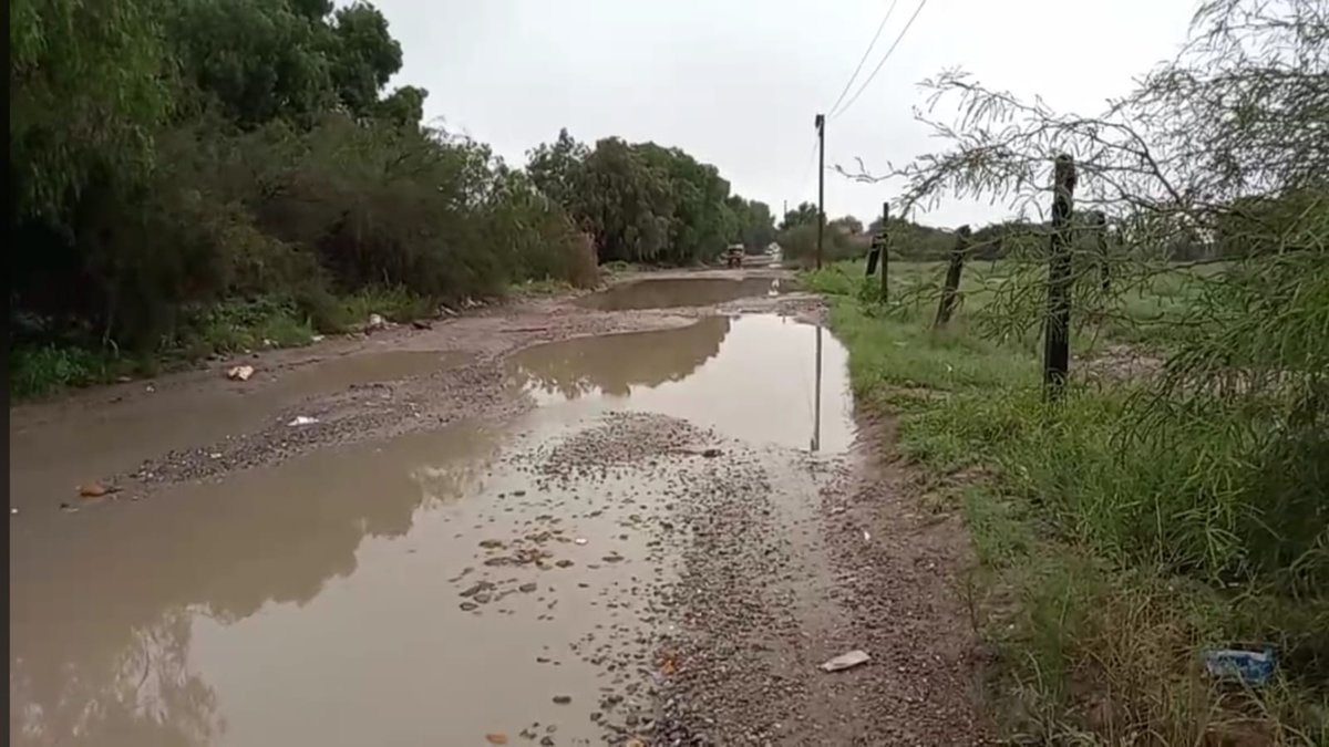 ElSaucitodeSanLuis tweet media