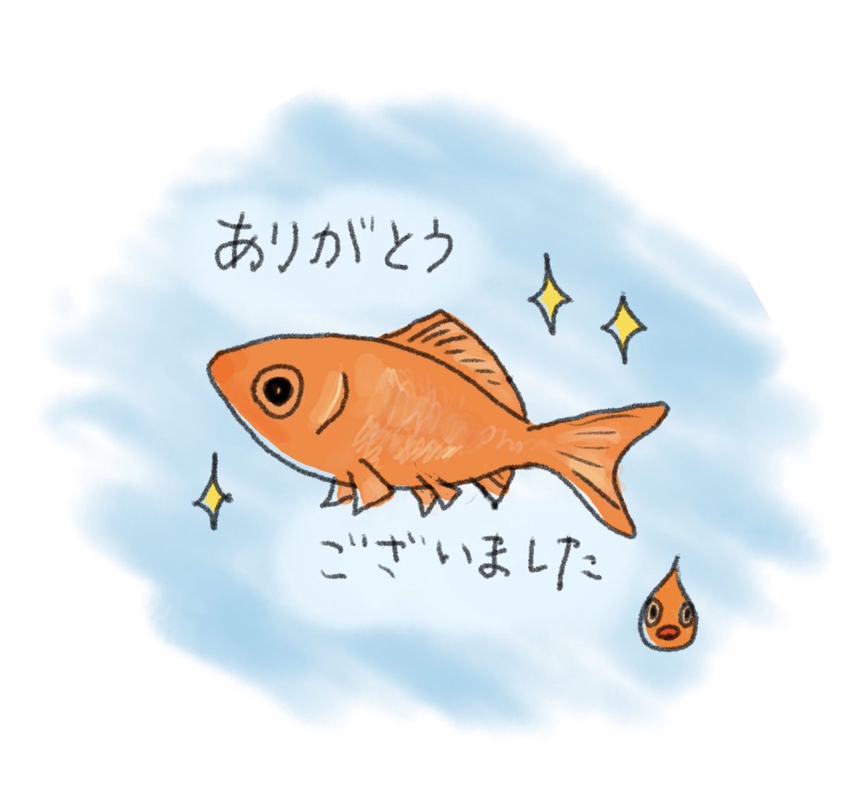 namastie's tweet photo. ご報告が遅くなりましたが、金曜日の朝、ハピさんが天国に旅立ちました。直前まで泳ぐ姿を見てたのでこのまま元気になると思ったのですが、力尽きてしまいました。皆さんの応援に応えるように最後まで頑張ってくれました。短い間だったけど、いろいろな事を考える機会をくれて本当にありがとう。 https://t.co/kgbNG8uS8V