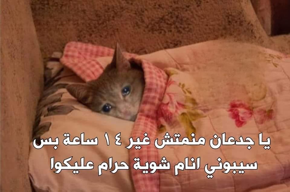 الناس كلها بتسافر او بتروح جيم و كورسات 

انا :