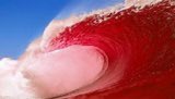 HRHPrincessPR's tweet photo. @TheLeoTerrell Work to get your local #Republican elected in November! ANY Republican is better than the best Democrat! #RedTsunamiComing… https://t.co/1YDXGIzXjx