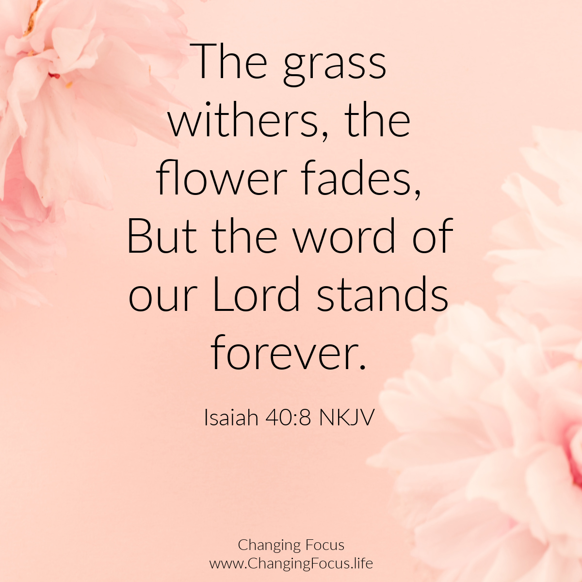 Happy Sunday

The grass withers, the flower fades, But the word of our Lord stands forever.

Isaiah 40:8 NKJV