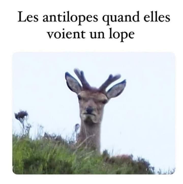 ComplotsFaciles's tweet photo. #NousSachons https://t.co/vD1zzQJfIw