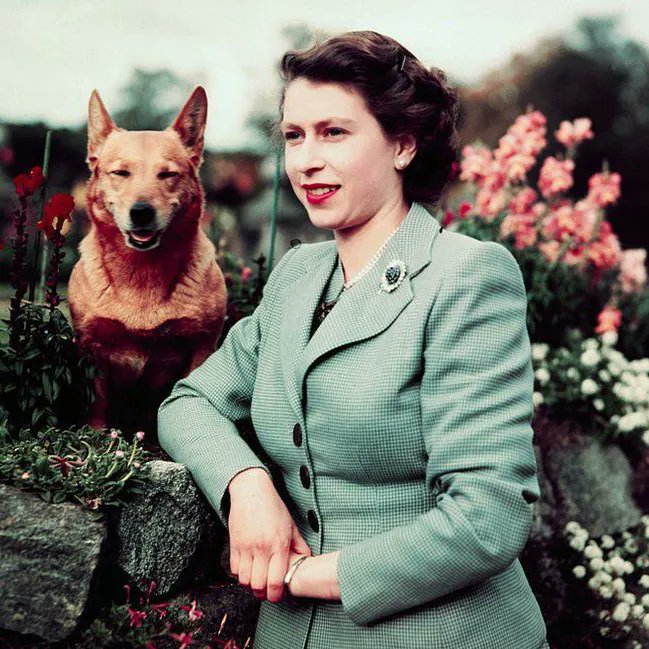 We join the world in mourning the loss of Her Majesty Queen Elizabeth II. As a mark of respect our workshop, showroom &amp; studio will be closed on Monday 19th September for a day of National Mourning.

Photo: Bettmann/Getty