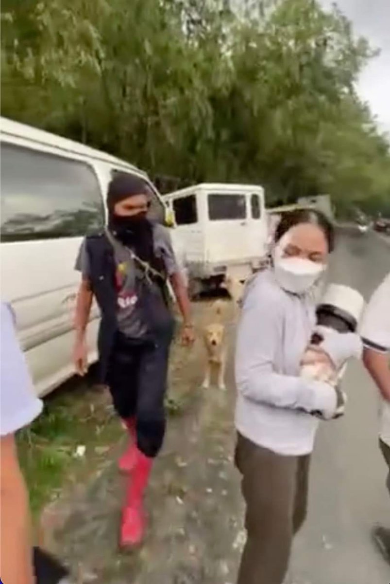 Masungi Georeserve tweet media