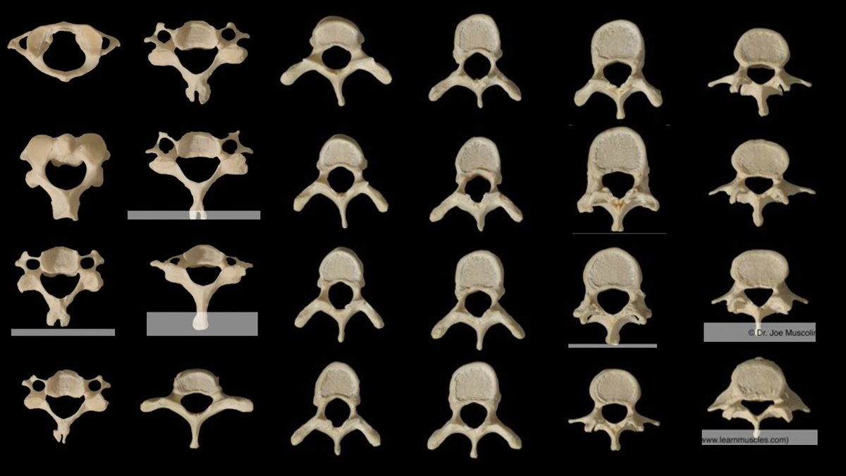 Will Mangham tweet media