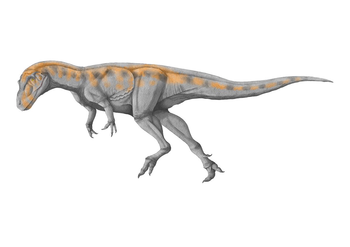 kta92751434's tweet photo. #Gasosaurus
#ガソサウルス
久々のカラー https://t.co/tCuijZlOuE