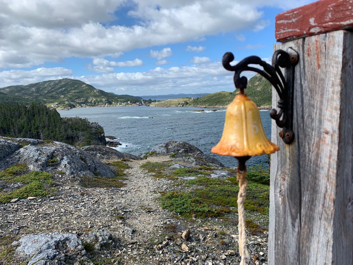 Melissa Tobin tweet media