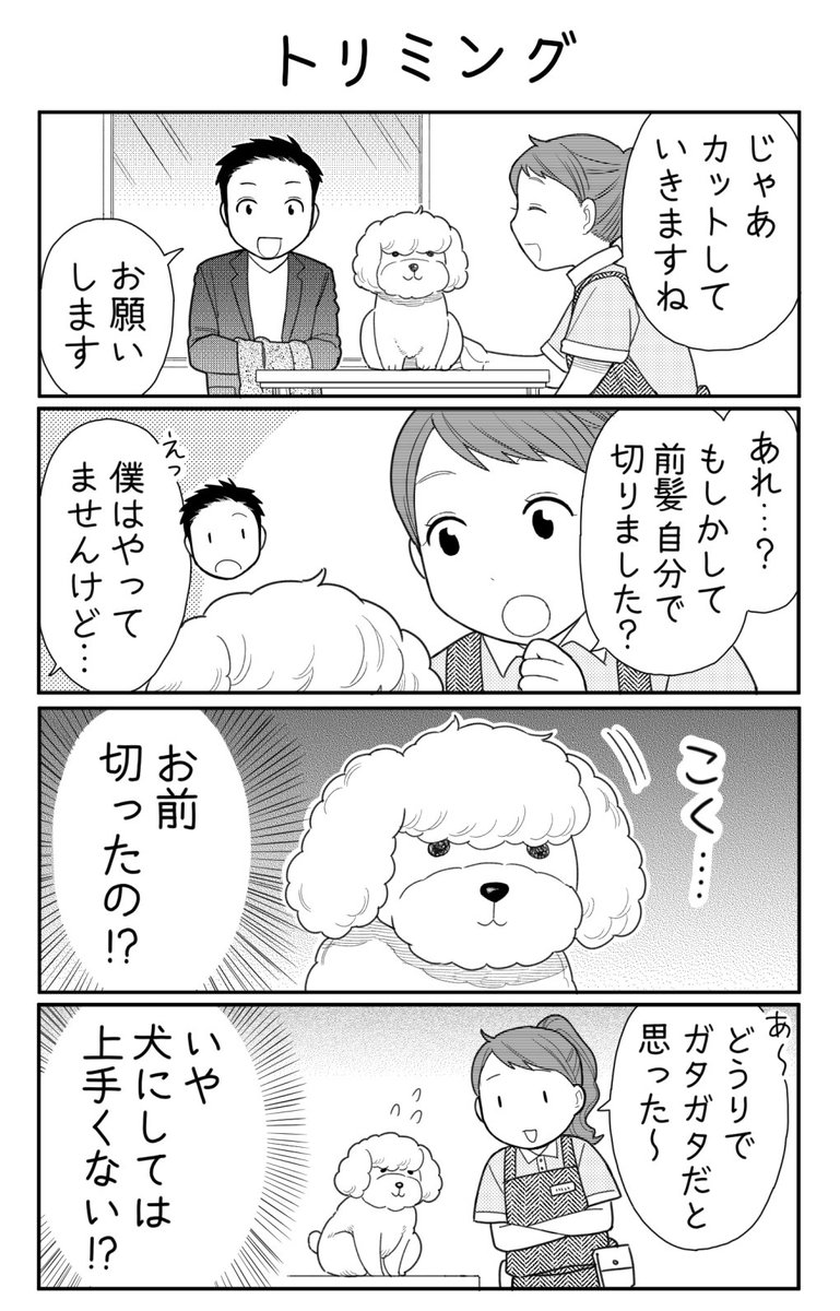 4コマ漫画「トリミング」 