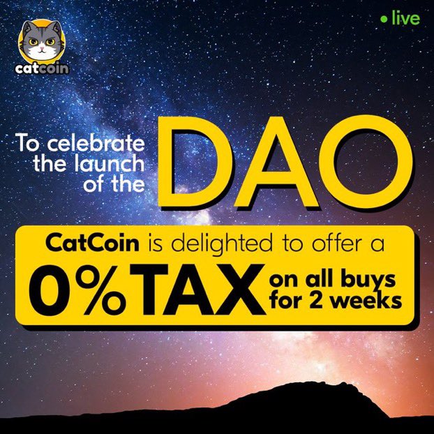 Positive_Chalie's tweet photo. @kucoincom I’m always buy #catcoin even more so now that we have a 0% buy tax incentive going on with the release of our Dao. Come check us out and see what else we have in the pipeline ❤️ https://t.co/OD8L8AIZ4g