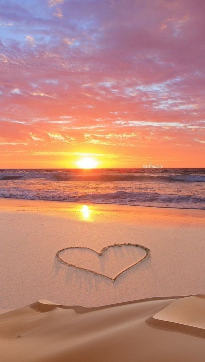Angel_Stockler's tweet photo. #NaturePhotography 
:¨·.·¨🌿
 `·. .🧡  .⋆*ೄ.•*¨*•.,💛🦋💛.⋆*ೄ.•*¨*•. https://t.co/dyFhKIFtSn