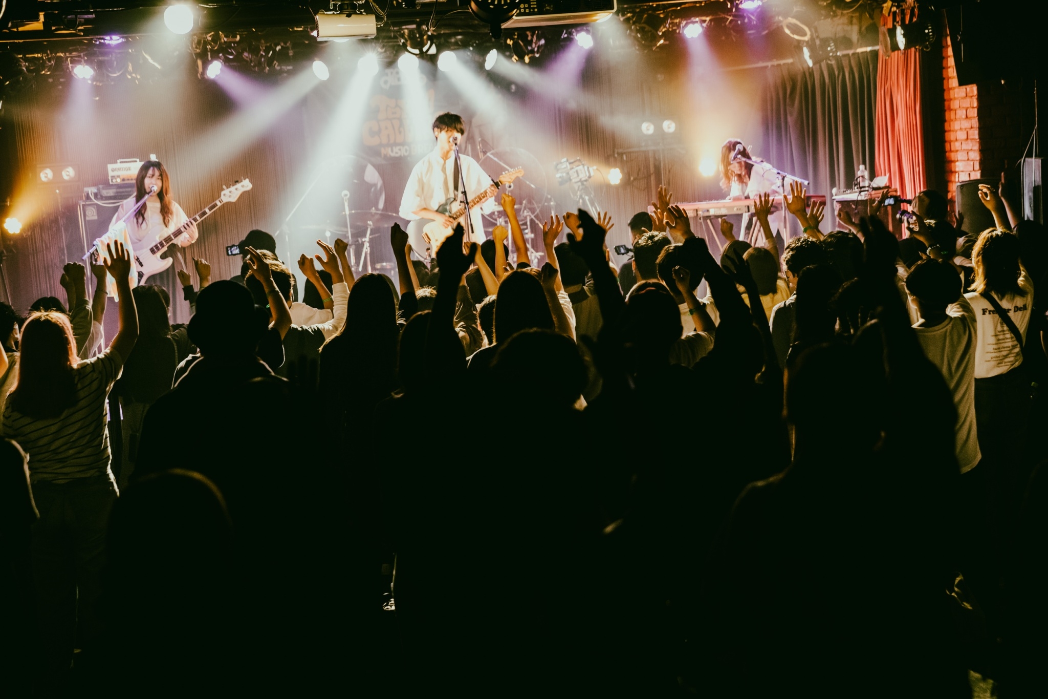 アイビー カラーテスターセット Www Vitaplus Com