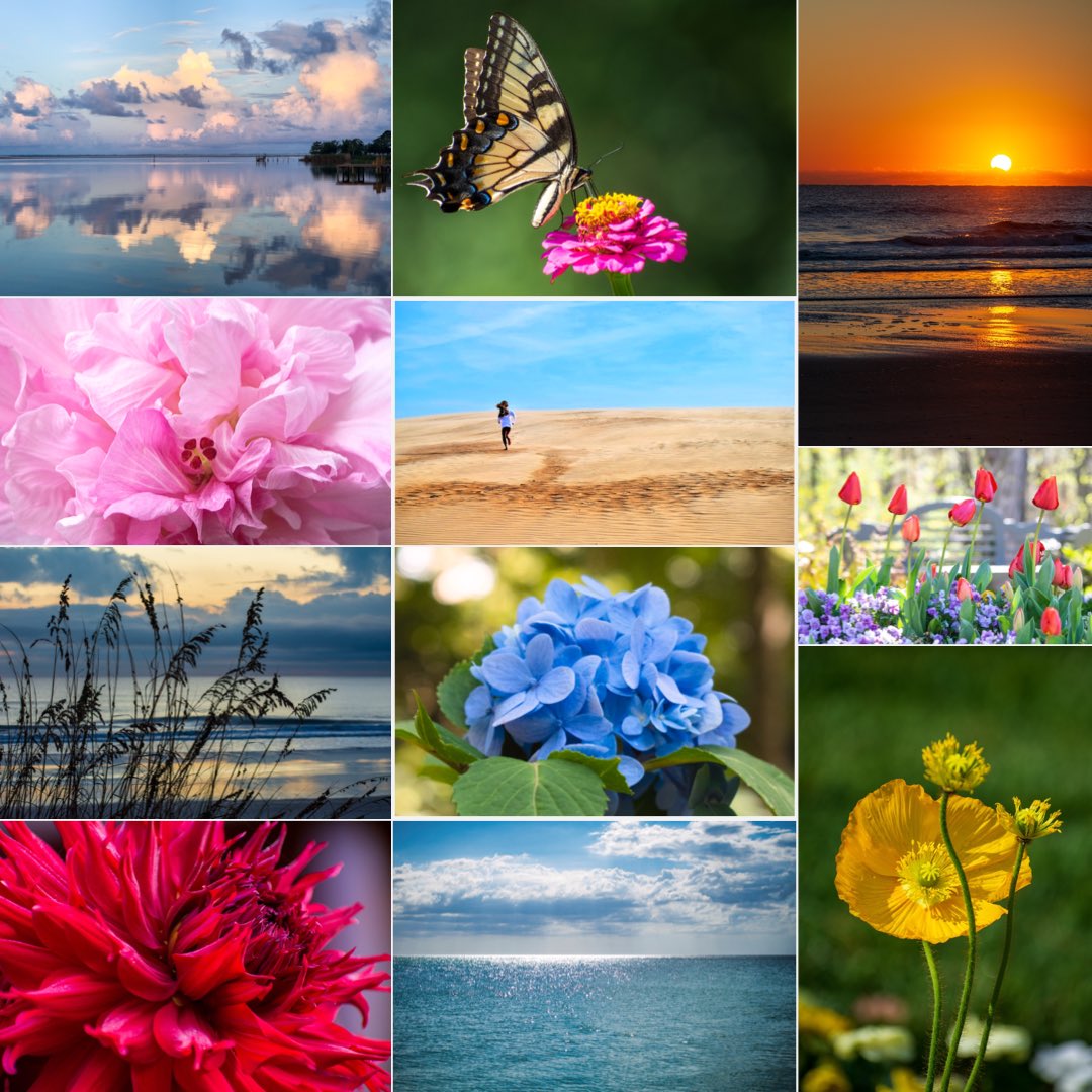 Only have a couple Tez left in your wallet? No problem! For a limited time, the price on all of these edition pieces is just 1 $XTZ (and the yellow poppy is just .5!). Don’t miss your chance! #tezos #CleanNFT #artzydreams

Link 👇🏻