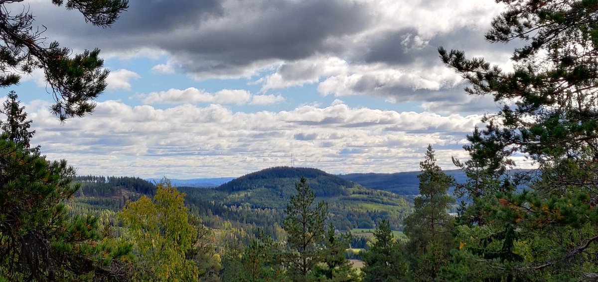 RobbanWWO's tweet photo. Flora fauna activity from this nice place today. Thanks @Jon61268142 and Nemo 🐶 for the company and for serving me hotdogs 😁 https://t.co/JNTfuAPoFl