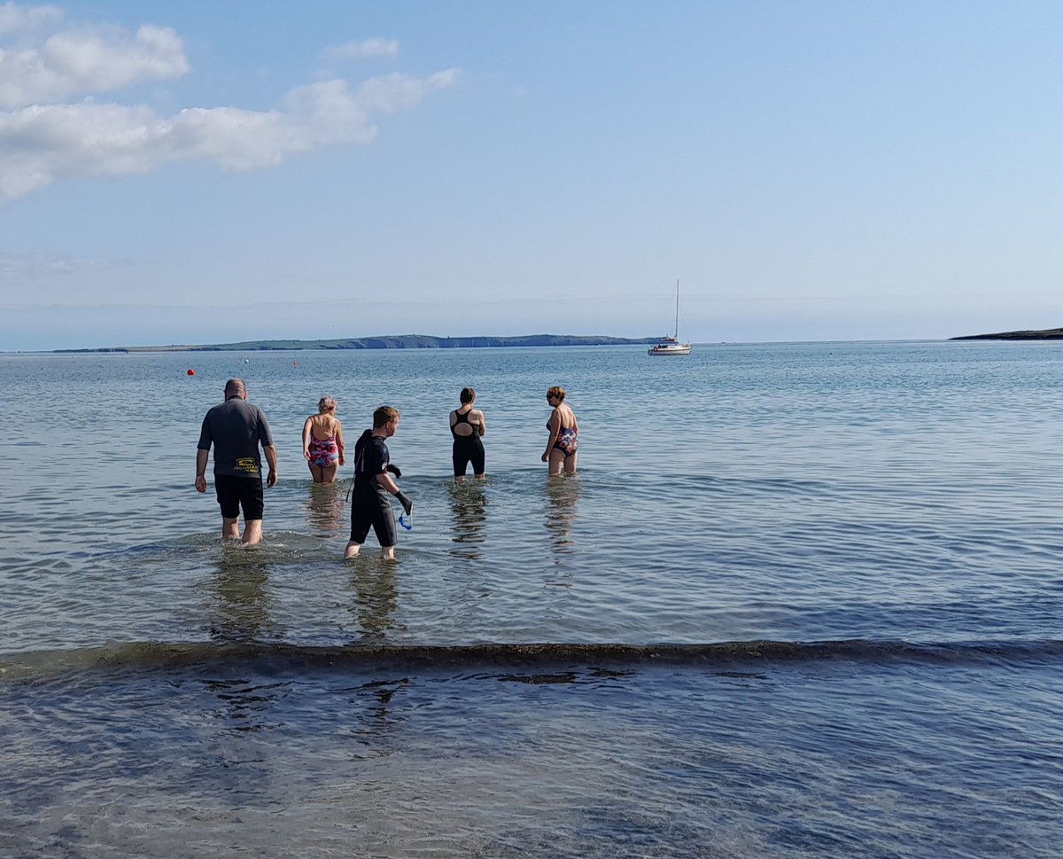Dip done! Lovely swim to kick off #WorldGODay this week in Blind Strand near beautiful #Courtmacsherry Co. Cork. Looking forward to seeing more #Swim4GODay photos! Thank you to dippers - Anne H, <a href="/awolanne/">Anne O'Leary</a> ,<a href="/LenihanBrendan/">Brendan Lenihan</a>, Kev, Mar and Mitz 💙💜
