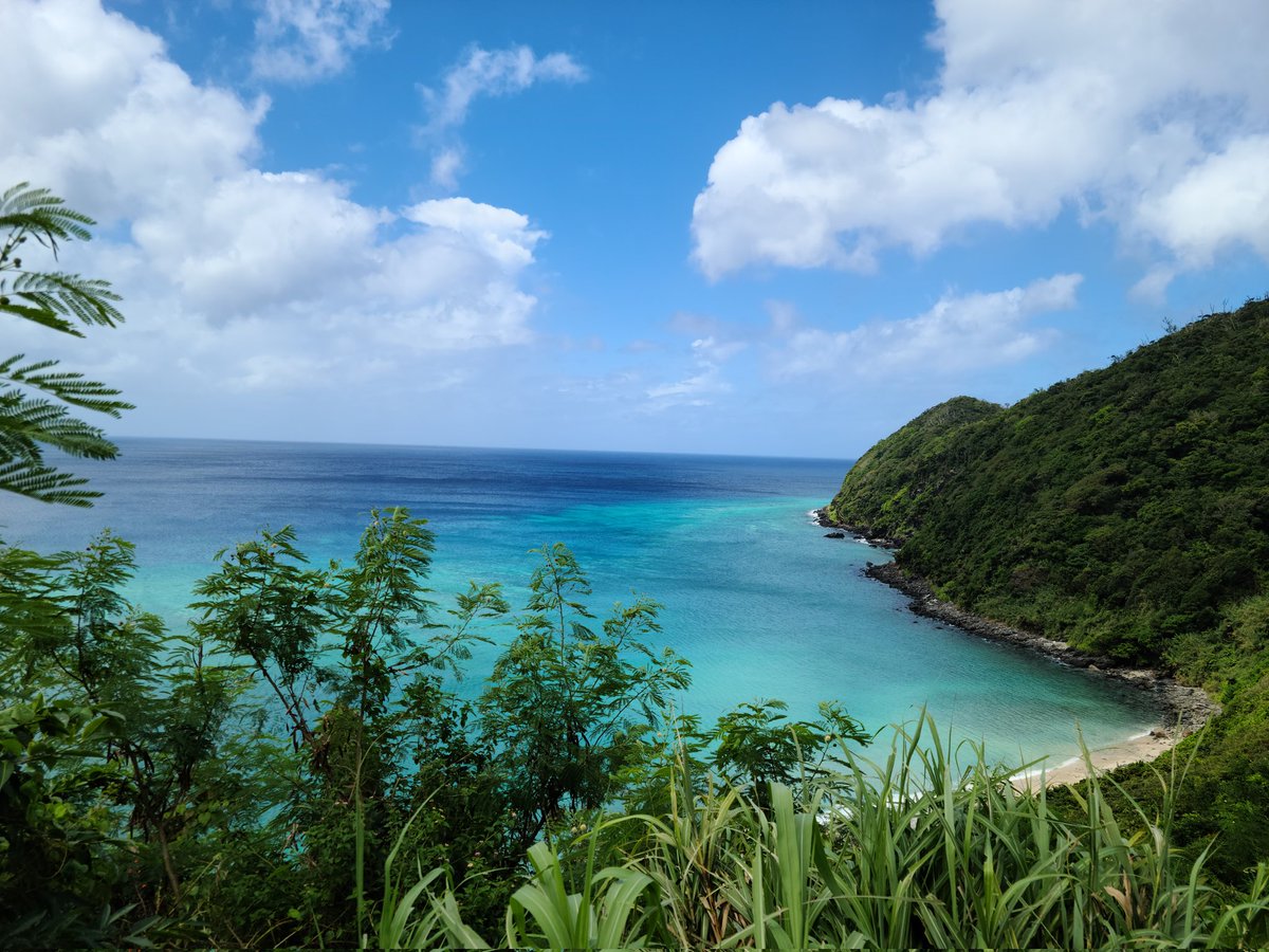 K46861595's tweet photo. #奄美大島 #宮古崎 https://t.co/zGGJXnfXWw