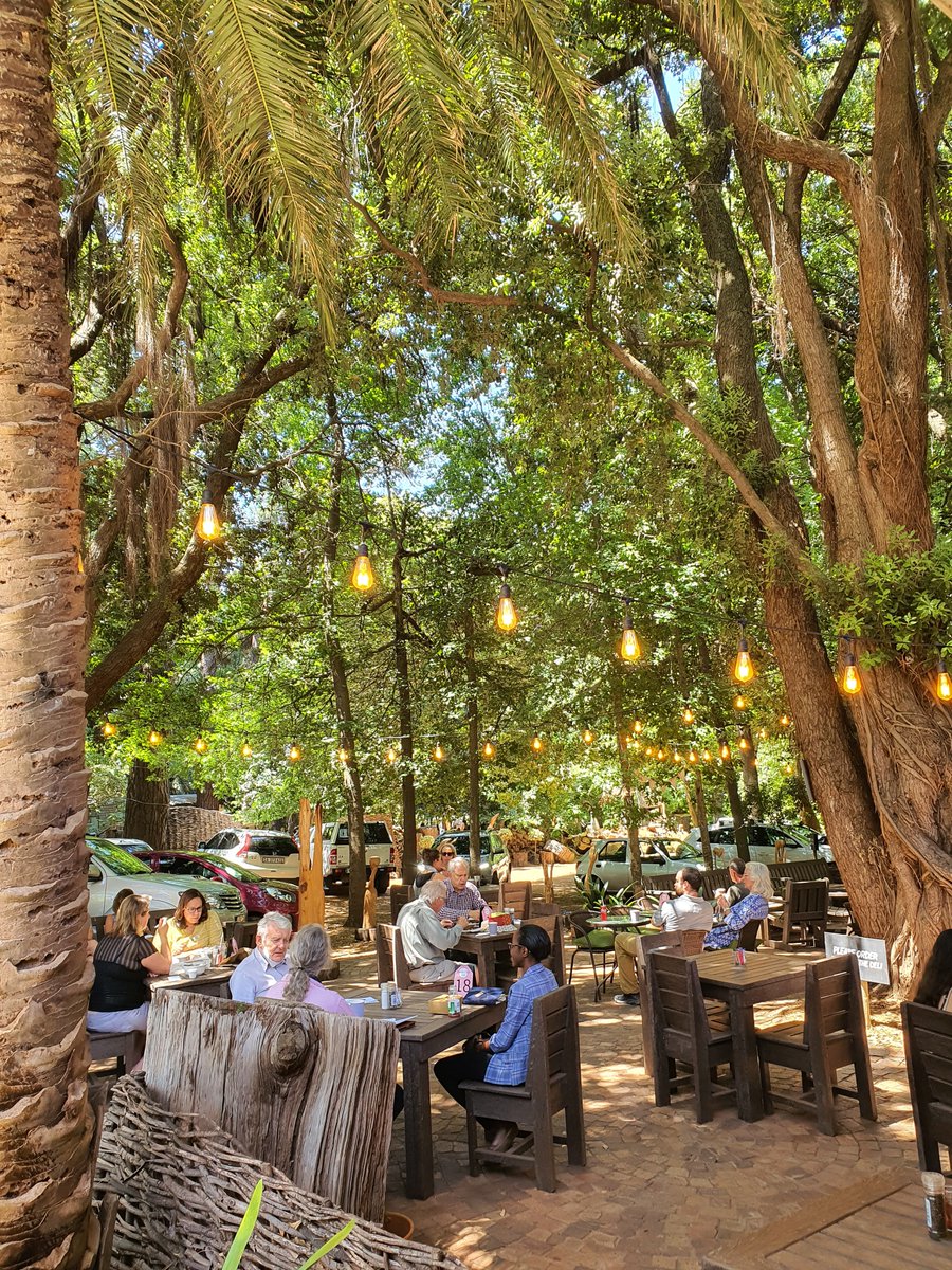 TripAdvisorCT's tweet photo. Lovely spot in #Newlands called The Picnic Cafe and Deli, at the Montebello Design Center.  Sit under the trees and enjoy true healthy freshness served in eco-friendly takeaway containers. #capetown #stage10 #HealthyFood @Picniccafe1 https://t.co/kelttgnbve