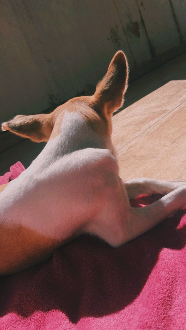 ttaciiane's tweet photo. Solzinho de domingo 🌞💙 https://t.co/GrUWE6JwJL
