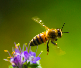 LeadershipBEST's tweet image. The Simplicity of Consistency wp.me/p2v3fj-5NU