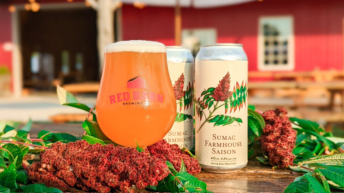 🌿Foraged Series: Sumac Farmhouse Saison is BACK!

We foraged over 100lbs of staghorn and smooth sumac from the fence rows of Chatham-Kent, steeped and fermented it with a classic farmhouse saison yeast.

#LocalIsBest

#CheersEh
#FamilyFarmBeer