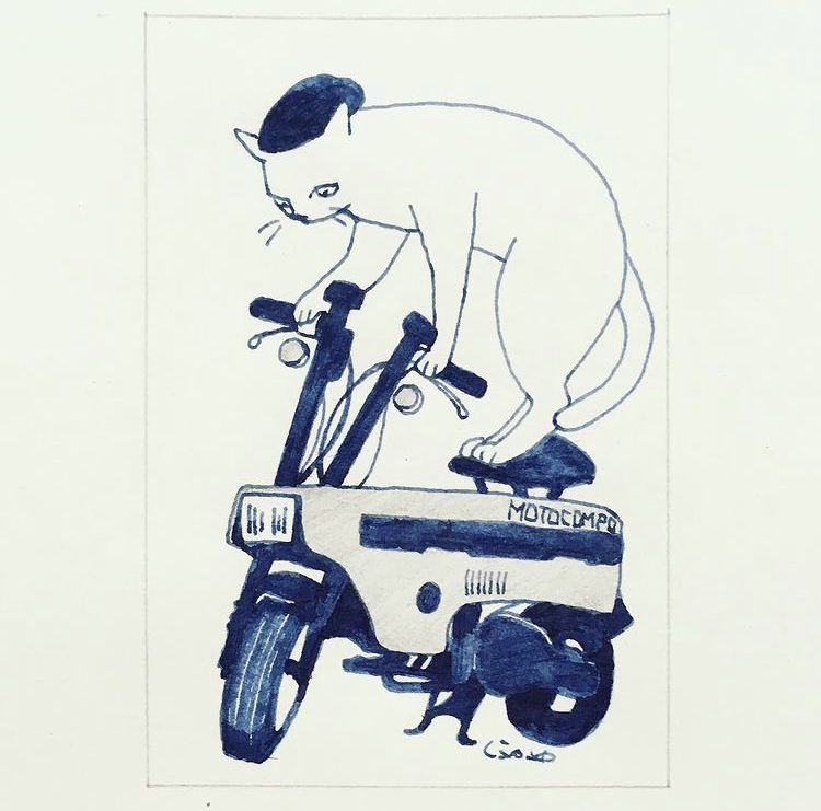 ground vehicle cat no humans motor vehicle white background traditional media monochrome  illustration images