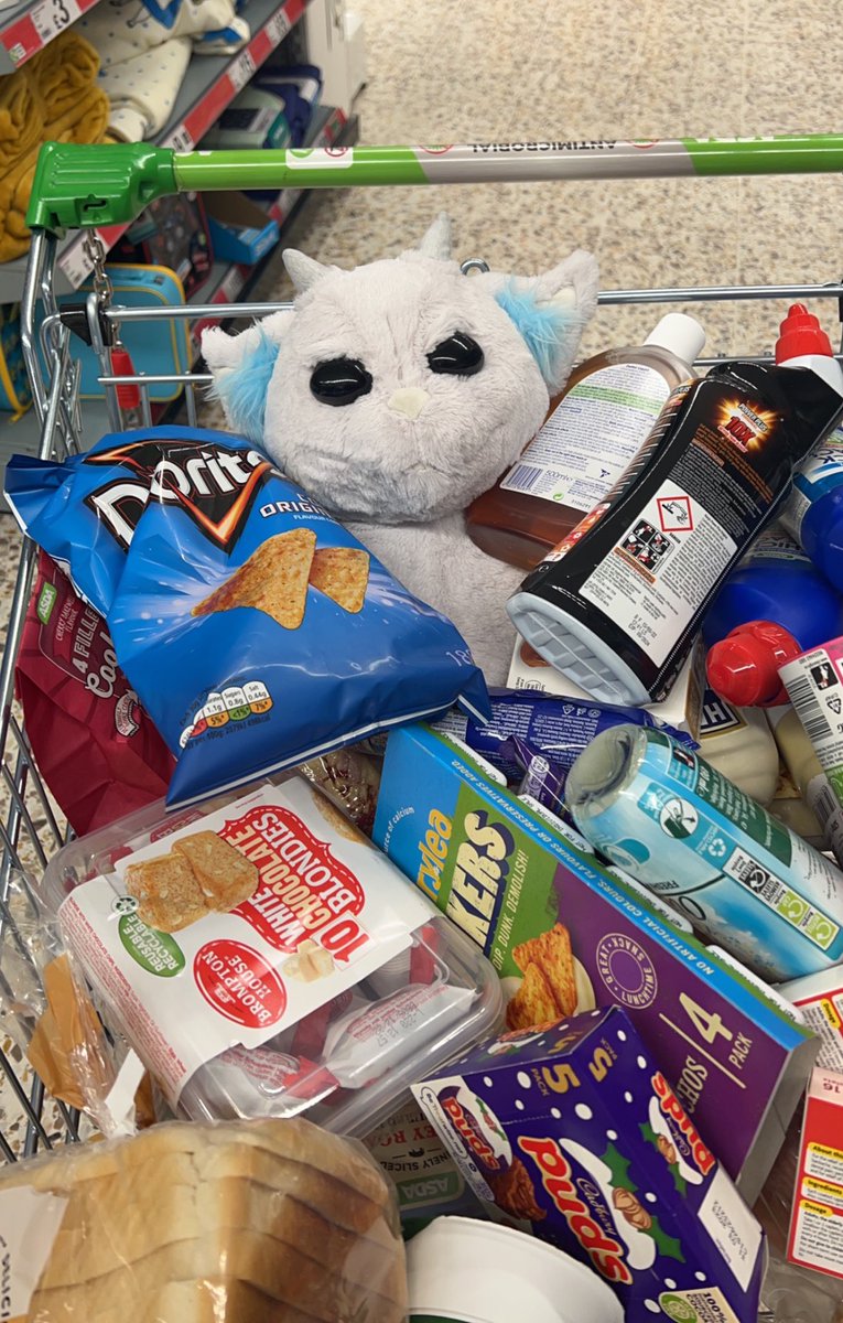 TYSDRAGON's tweet photo. ned came grocery shopping with me today😭😭 he had a very good time!! @twentyonepilots #nedlife https://t.co/49Tjwu1IRv