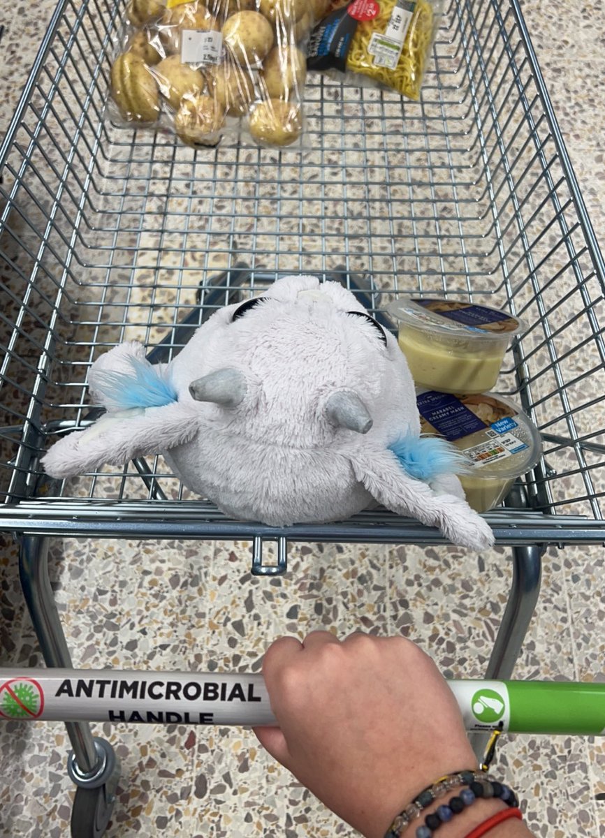 TYSDRAGON's tweet photo. ned came grocery shopping with me today😭😭 he had a very good time!! @twentyonepilots #nedlife https://t.co/49Tjwu1IRv