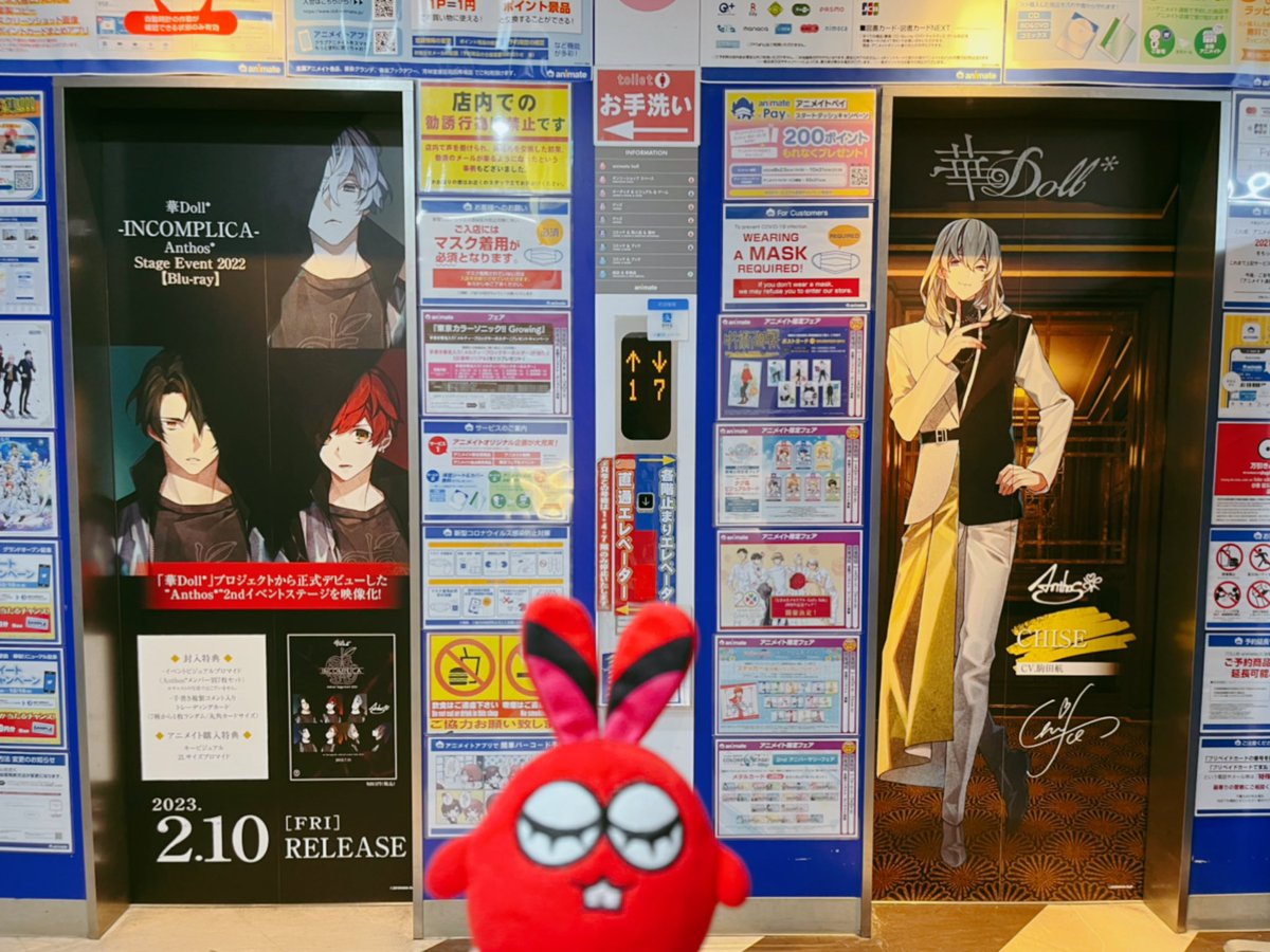 66anemone's tweet photo. 💐華Doll* 3rdシーズン開始記念フェア💛
@アニメイト池袋本店
エレベーター装飾 ⑧F
#AnthosFandom
# LouloudiFandom
#MAPHY https://t.co/JJwsXI4cwg
