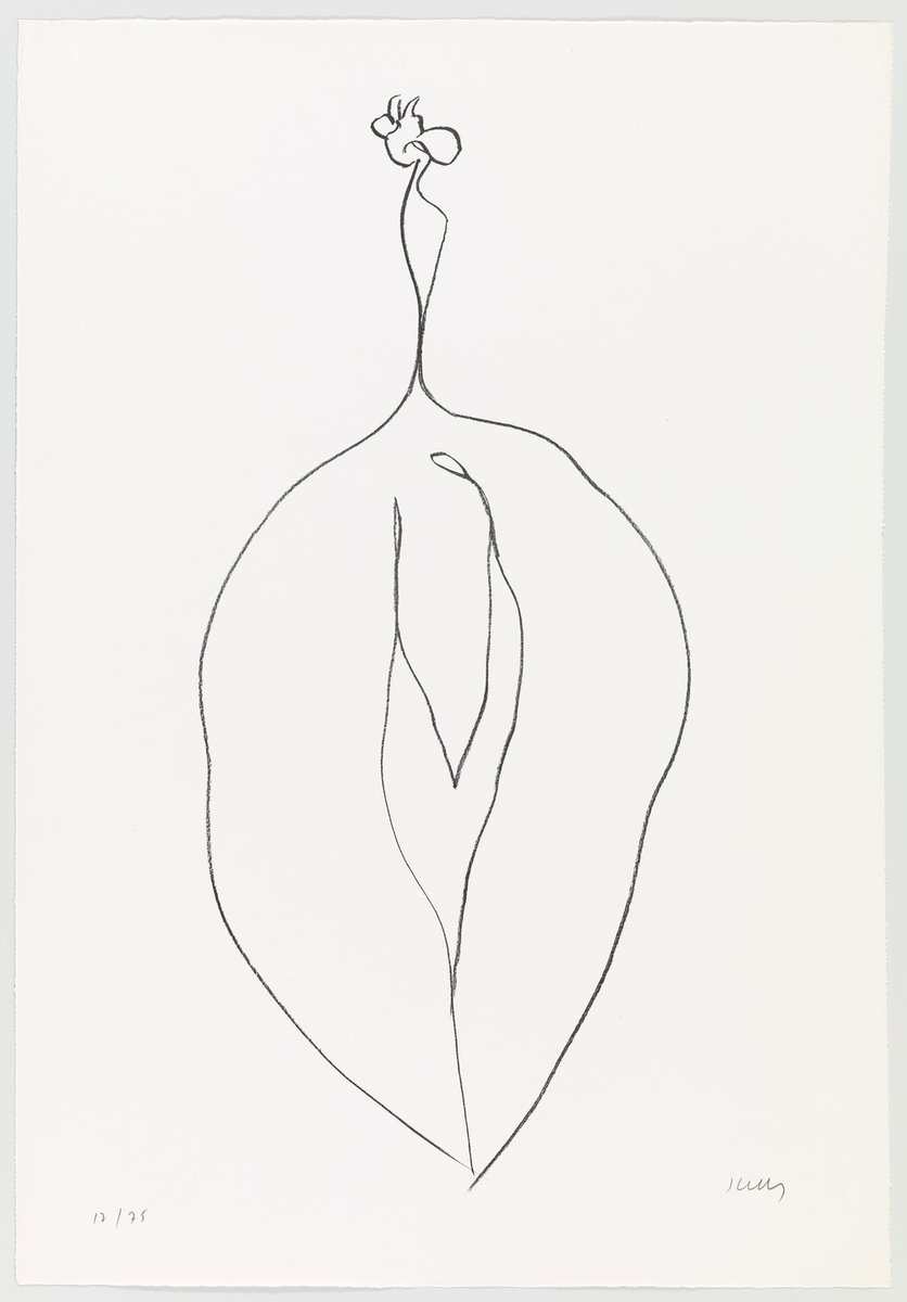 moma_drawings's tweet photo. Ellsworth Kelly, Seaweed (Algue) from Suite of Plant Lithographs, 1965–66, published 1966 #museumofmodernart #ellsworthkelly https://t.co/OEoY67ojDl https://t.co/r8wukgl9Ar