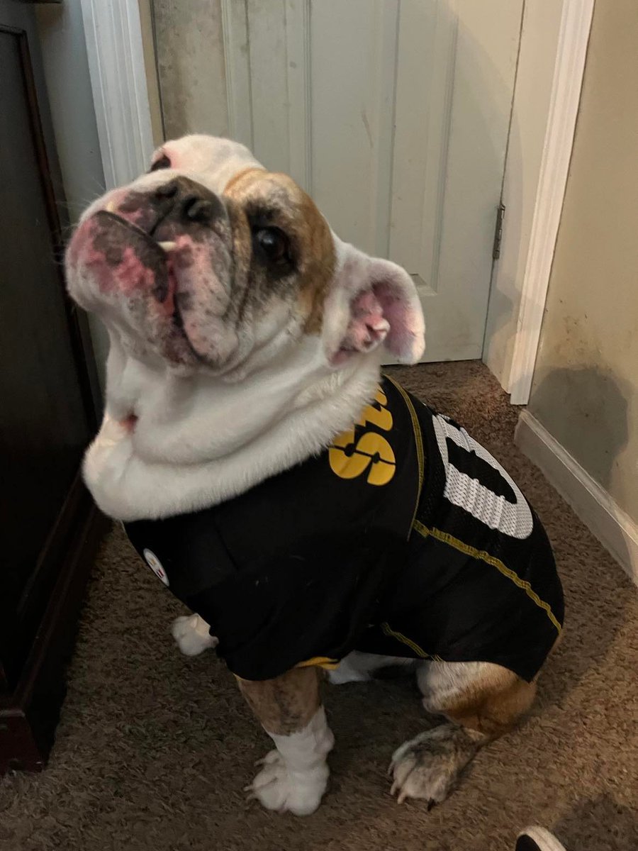 Tom Riddle is ready to take a bite out of Bill Belichick's ass. #Herewego