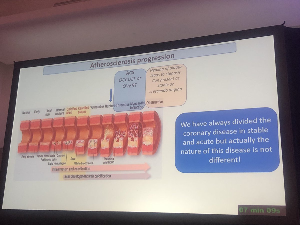 Jolanta SillerMatula, MD PhD (@jsillermatula) on Twitter photo Stimulating discussion on honeycomb lesions, vulnerable plaque and plaque erosion in the complex cases with masters session at #TCT2022 <a href="/TCTConference/">TCT Conference</a> <a href="/crfheart/">Cardiovascular Research Foundation</a> Stimulating discussion on honeycomb lesions, vulnerable plaque and plaque erosion in the complex cases with masters session at #TCT2022 <a href="/TCTConference/">TCT Conference</a> <a href="/crfheart/">Cardiovascular Research Foundation</a>