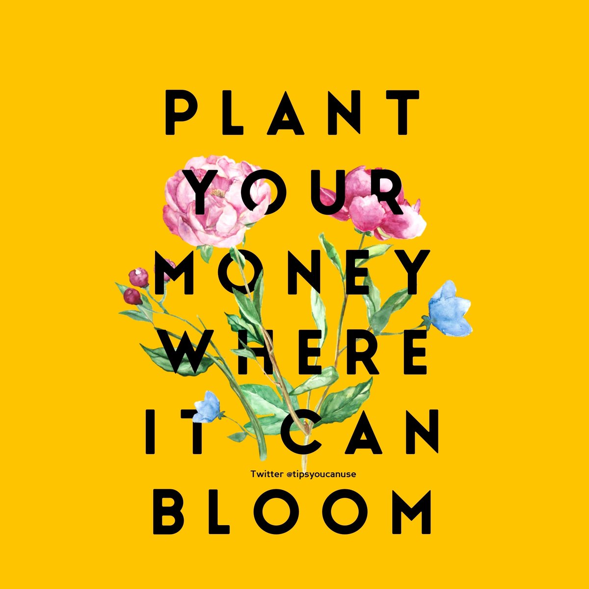 Andrea C Baumann tweet media