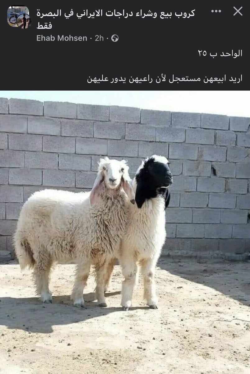 OD:D (@oddtoffe) on Twitter photo 