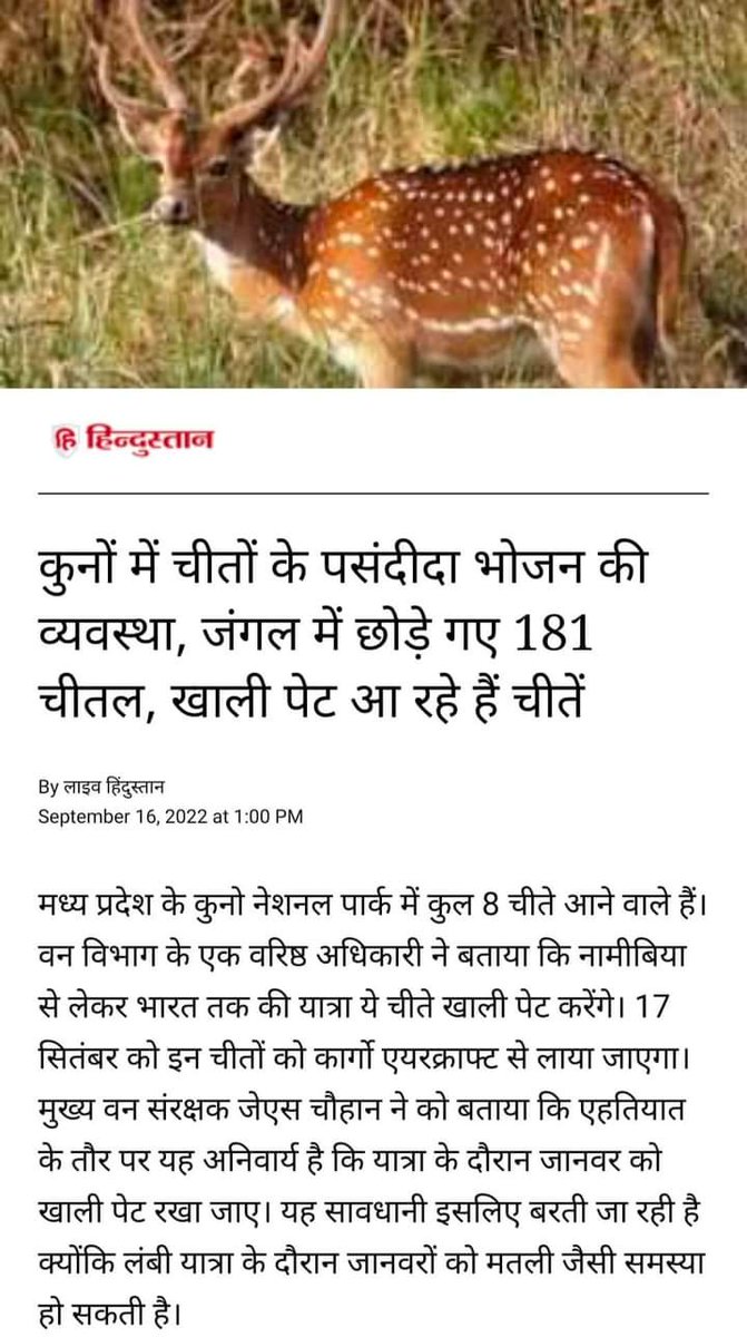 एक हिरण की हत्या पर #सलमान खान को जेल भिजवाने वाला #विशनोई समाज अब कहाँ है 😡😡

चीतों के #भोजन के लिए 181 हिरण जंगल में छोड़े गए 😴😕