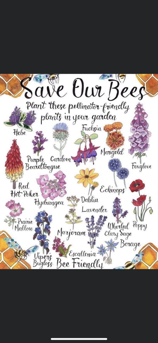 JM Shalley 🇨🇦 (@shalleyjm) on Twitter photo 