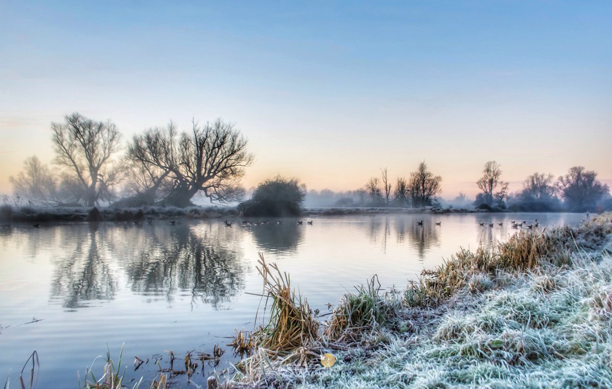 Veronica in the Fens 🧚🏼‍♀️ My Heart in Nature tweet media