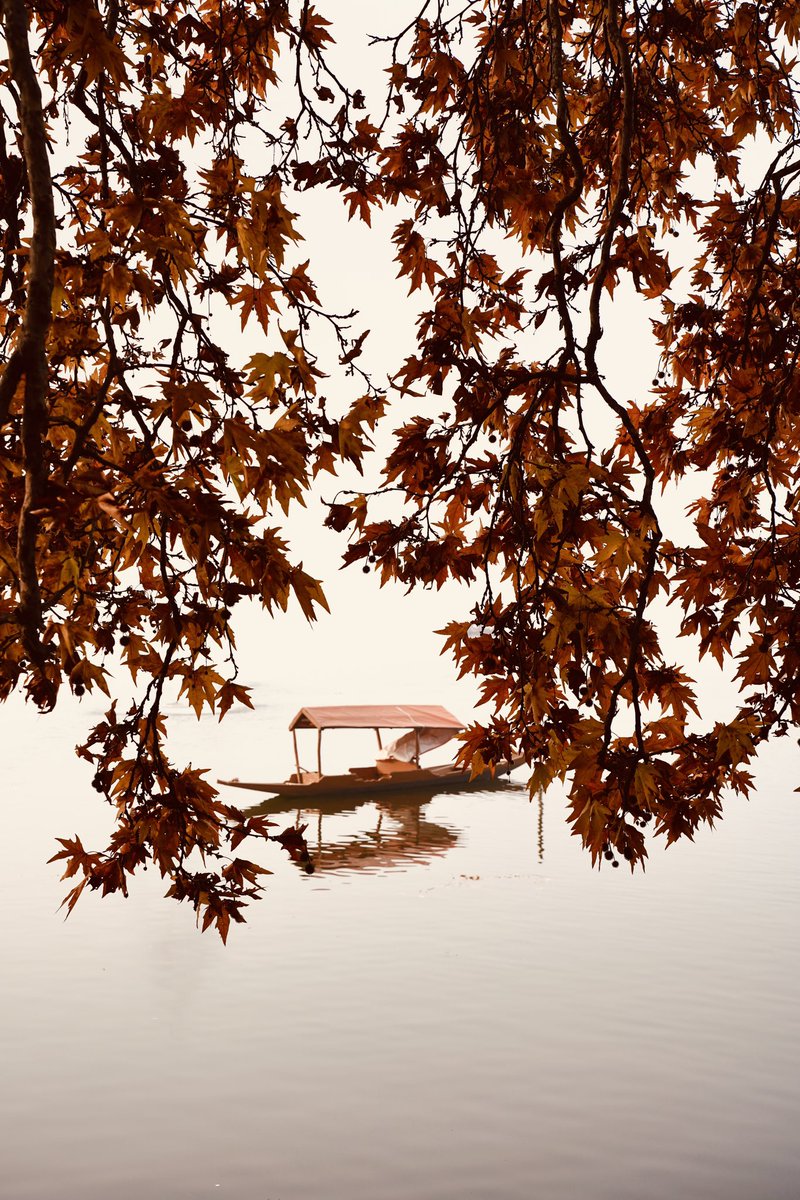🍁 🚣‍♂️