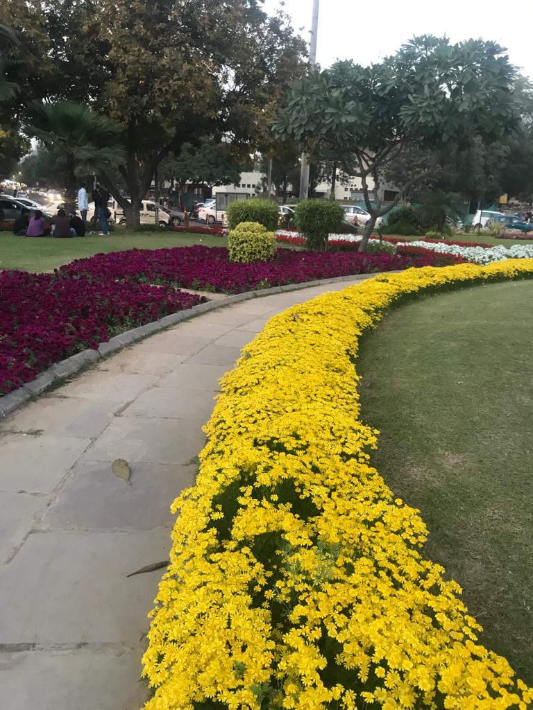 BrainnPower's tweet image. #Goldenpath