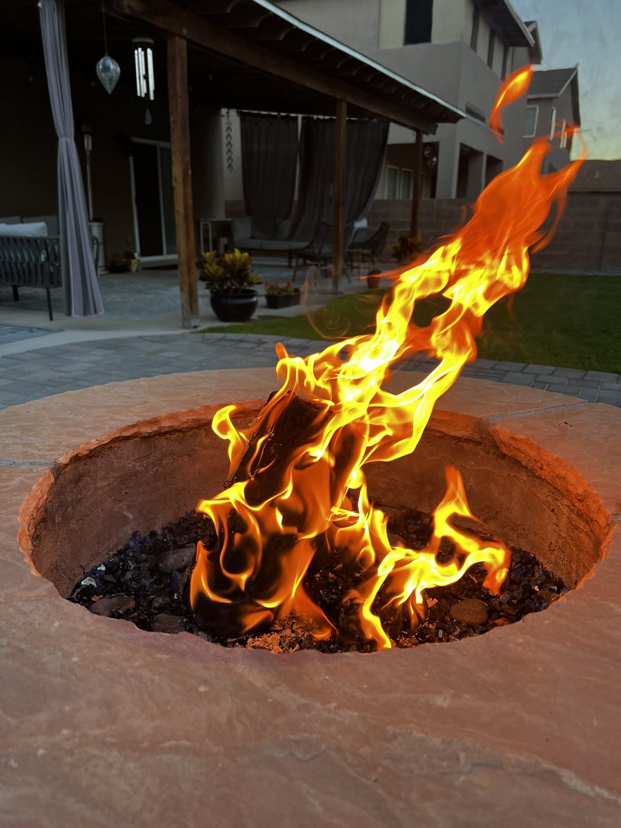 bobby gringo tweet media