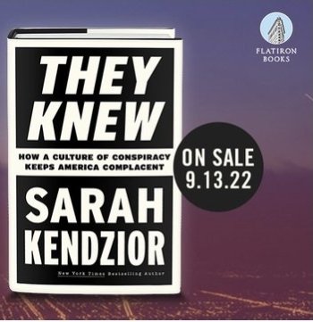 Sarah Kendzior tweet media