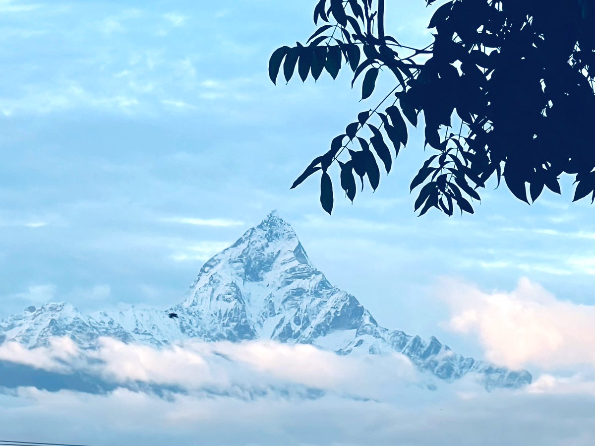 LiriKopaci's tweet photo. #machhapuchhare #Nepal #hikingadventures https://t.co/xRweFvhDnC