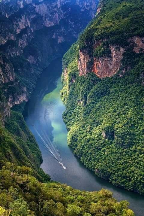 GuzmanSDaniel's tweet photo. La historia presenta evidencias de la gracia, misericordia y amor perdonador de nuestro Dios. Reconozcamos su soberanía. Dios está al control. Si le obedecemos y le servimos con fidelidad él nos bendecirá y viviremos en paz. ¡Una gran promesa! #rpsp #1Sam12 https://t.co/aQ2qOc6C7E