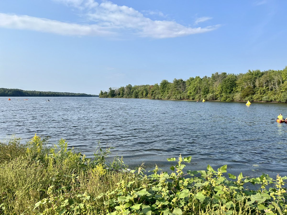 Bree Nidds tweet media