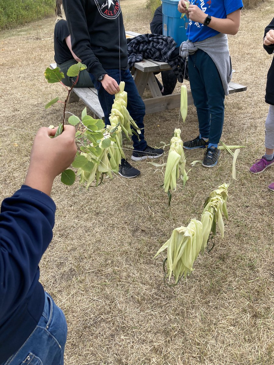 SPSBrightwater's tweet photo. Our Fall Gathering camp has been such a joy to host. We are harvesting and preserving, listening to stories, caring for our creek, sleeping in tipis, studying the stars, and building relationships. Amazing way to start the school year @StoonPubSchools https://t.co/OdCN5nDpzP