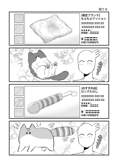 既視感 #秀さんの今日の猫日記 