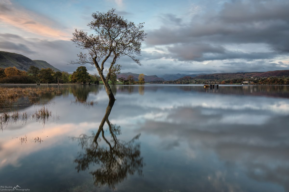 Lone tree in a calm Gale Bay, Ullswater #LakeDistrict #Cumbria #Reflection #lonetree <a href="/kasefiltersuk/">Kase Filters UK</a> <a href="/kase_filter/">Kase Filters</a>