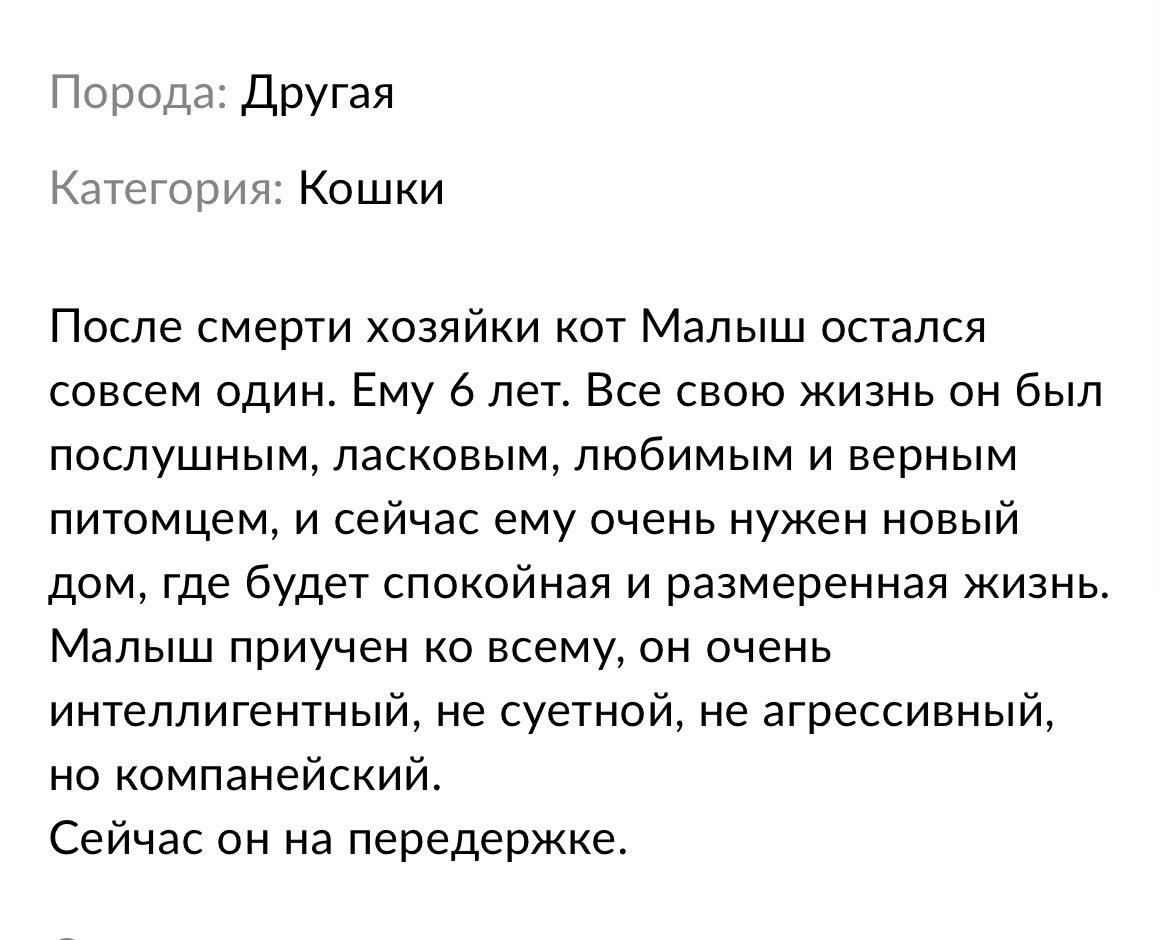 yajrumujlo's tweet photo. Предложка на авито беспощадна, я туда не плакать захожу(

Может, кому нужен красивый пушистый кот Малыш шести лет от роду?( Москва https://t.co/Zst4TOmSml