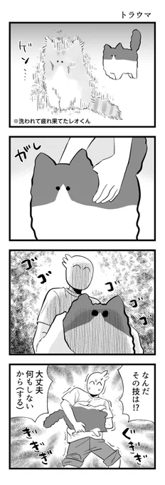 あの日のトラウマ #秀さんの今日の猫日記 